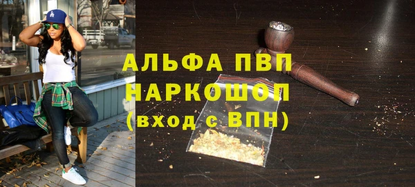 стафф Осташков