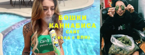 стафф Осташков