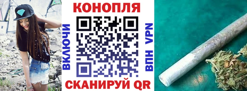 Канабис сатива  Купить где  Сочи